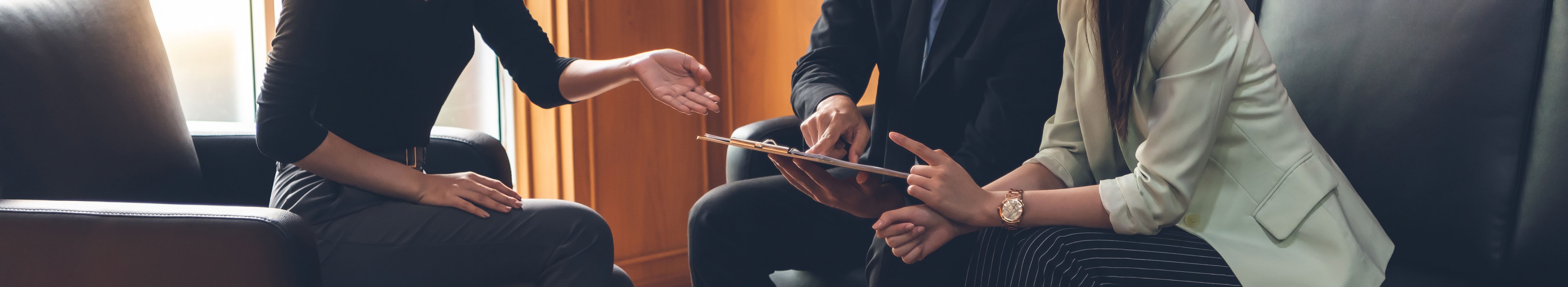 Professional consulting meeting